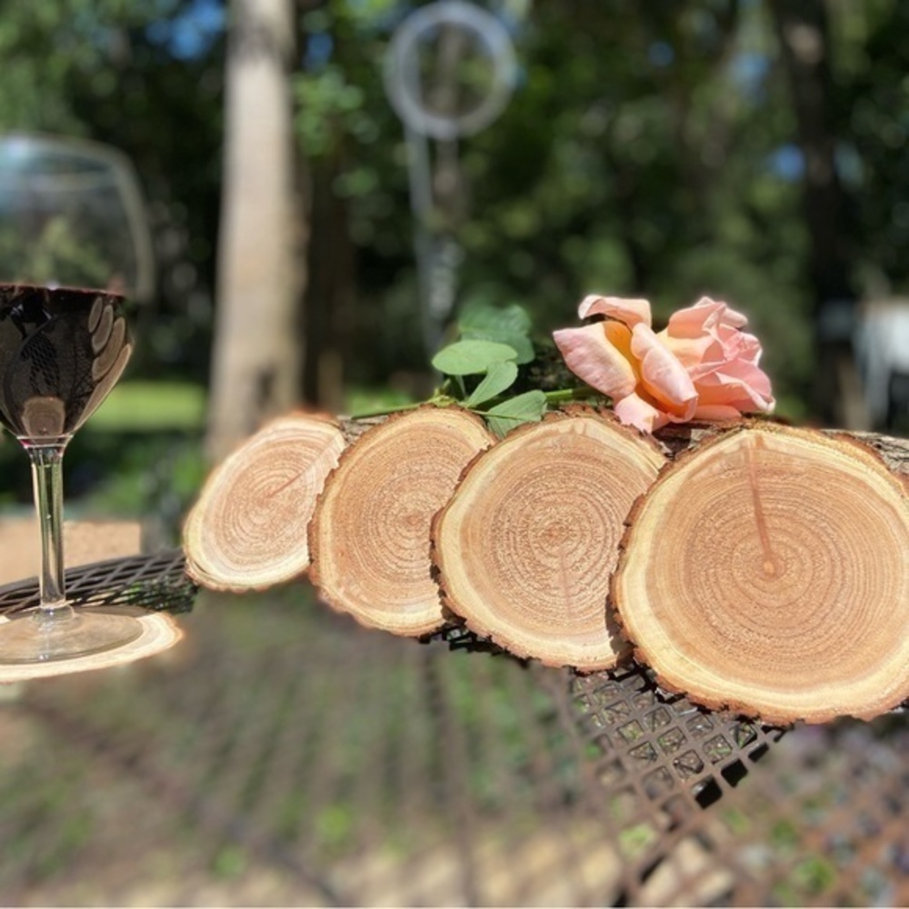 Texas Pecan Coaster Set (4 piece)